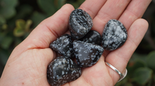 Load image into Gallery viewer, Snowflake Obsidian Tumbled - M