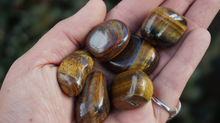 Load image into Gallery viewer, Tiger's Eye (yellow) - Tumbled M