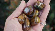 Load image into Gallery viewer, Tiger's Eye (yellow) - Tumbled M