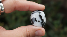 Load image into Gallery viewer, Zebra Agate - Tumbled M