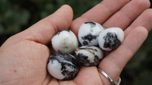 Load image into Gallery viewer, Zebra Agate - Tumbled M
