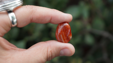 Load image into Gallery viewer, Carnelian - Tumbled XS
