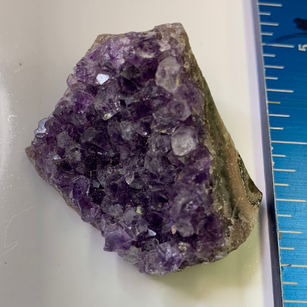 Amethyst Cluster- S/b