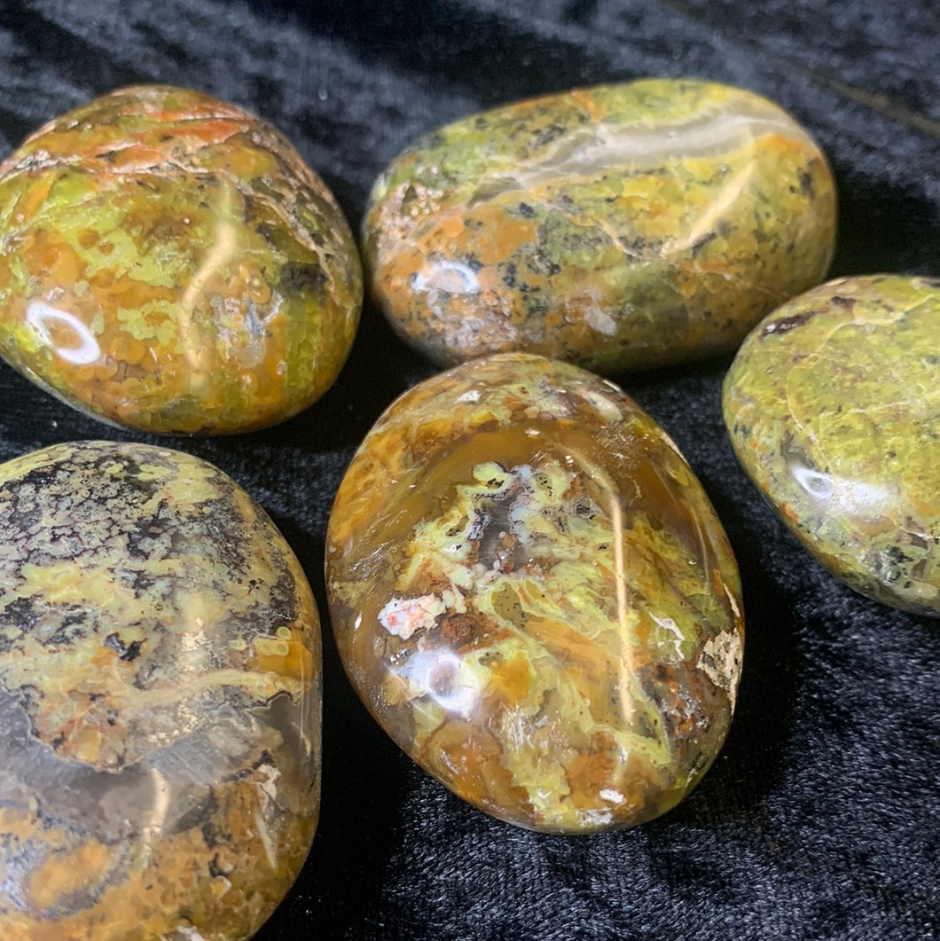 Green Opal - Palm Stone