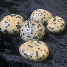 Load image into Gallery viewer, Dalmation - Tumbled S
