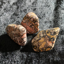 Load image into Gallery viewer, Leopard Jasper - Tumbled S

