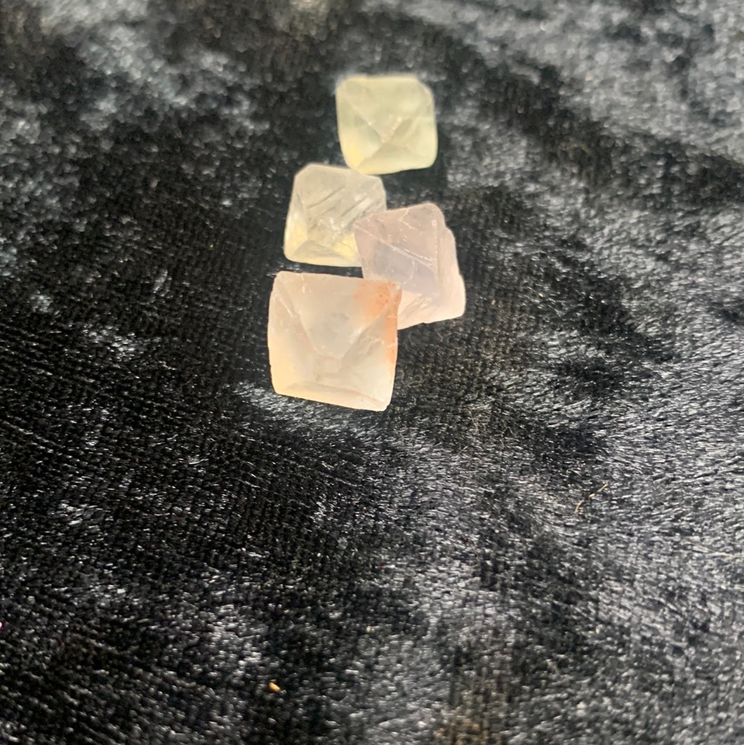 Fluorite - Octohedral XS / 5pc