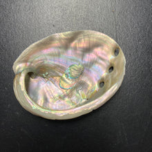 Load image into Gallery viewer, Abalone Shell S - Love Ritual

