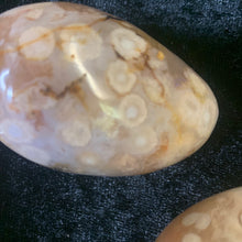 Load image into Gallery viewer, Flower Agate - Palm Stones
