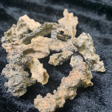 Load image into Gallery viewer, Fulgurite Wishing Horns
