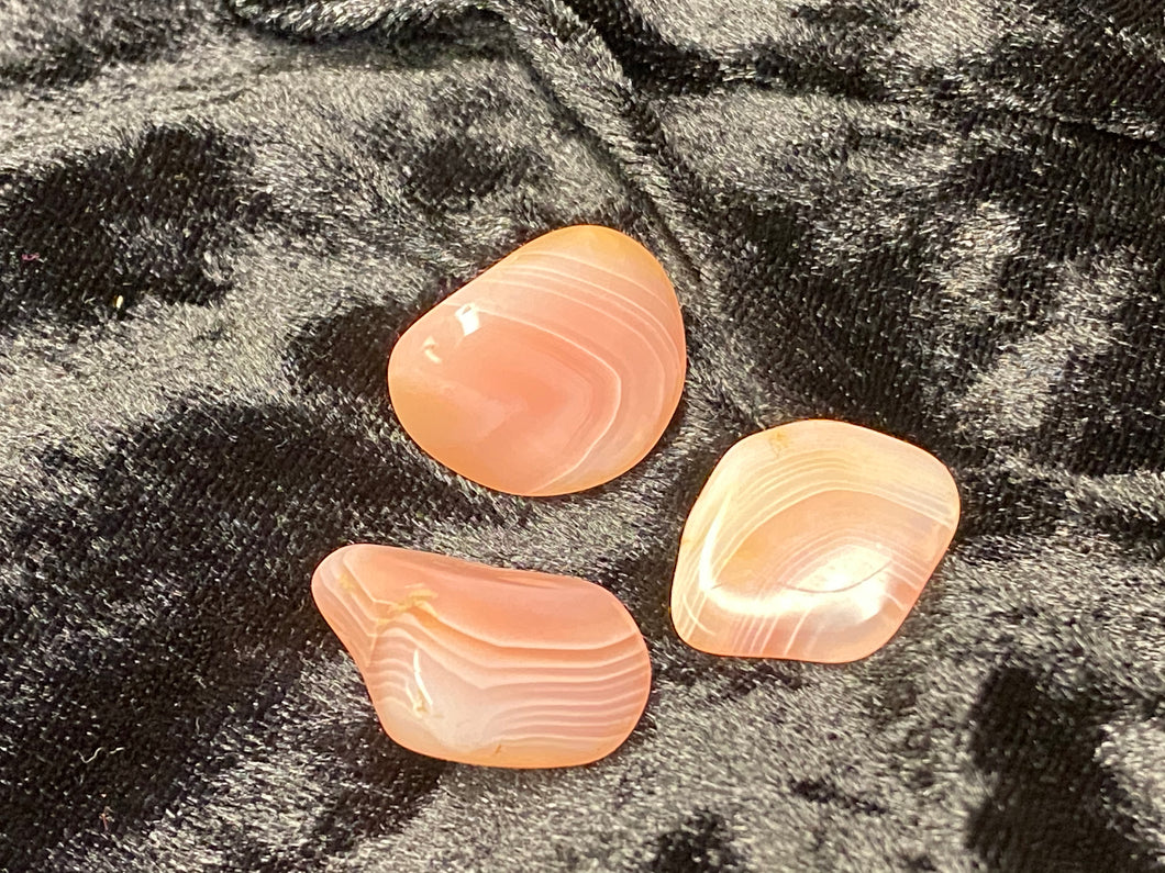 Botswana Agate (pink) - Tumbled M