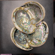 Load image into Gallery viewer, Abalone Shells - M
