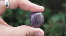 Load image into Gallery viewer, Lepidolite - Tumbled M
