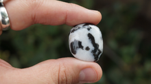 Load image into Gallery viewer, Zebra Agate - Tumbled M
