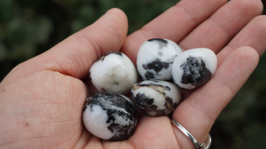 Zebra Agate - Tumbled M